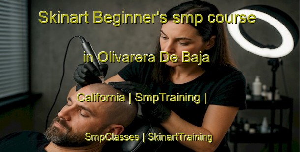 Skinart Beginner's smp course in Olivarera De Baja California | SmpTraining | SmpClasses | SkinartTraining-Mexico